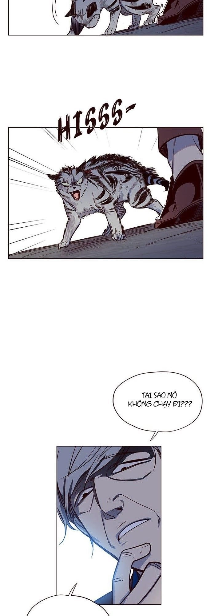 Hoá Thân Thành Mèo Chapter 5 - 38