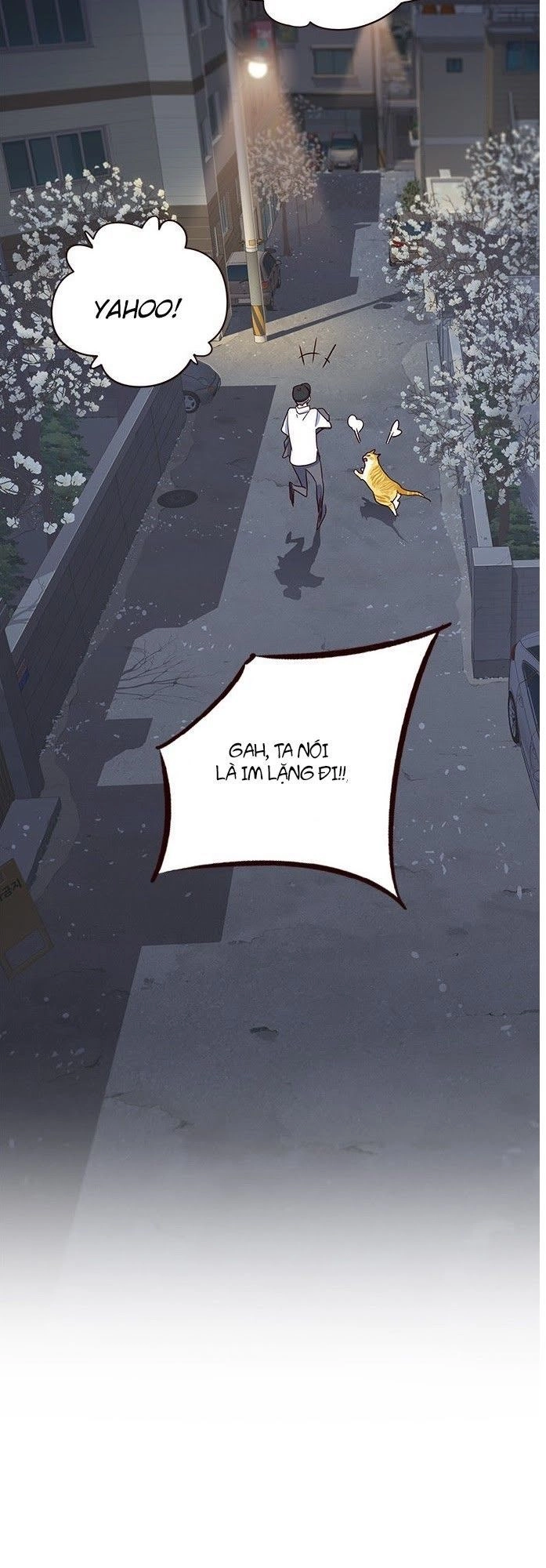 Hoá Thân Thành Mèo Chapter 5 - 65