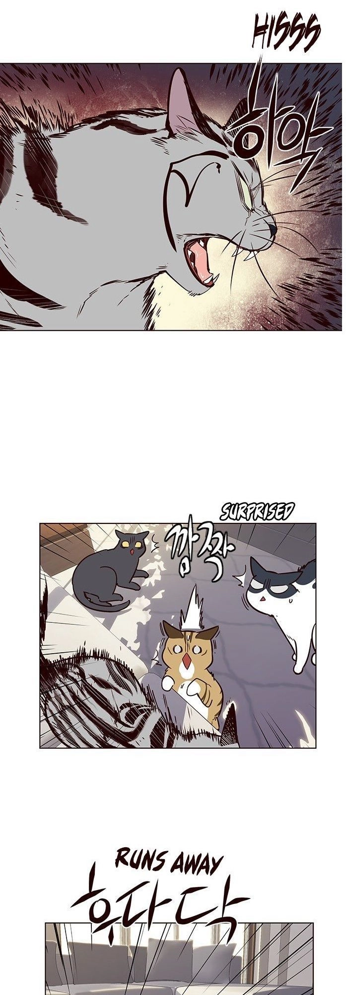 Hoá Thân Thành Mèo Chapter 7 - 39