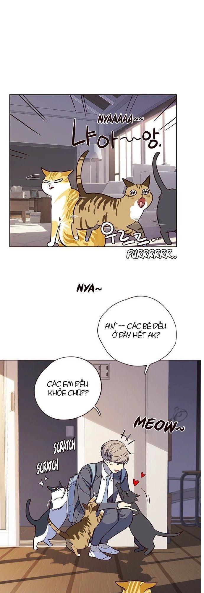 Hoá Thân Thành Mèo Chapter 7 - 48