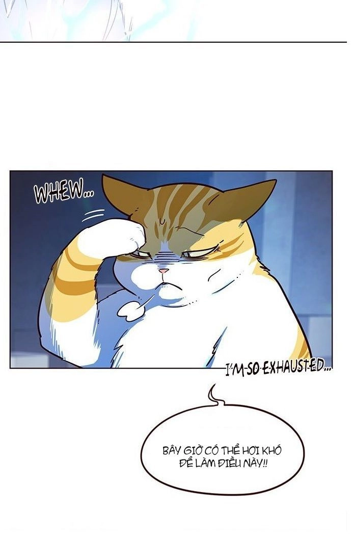 Hoá Thân Thành Mèo Chapter 8 - 53