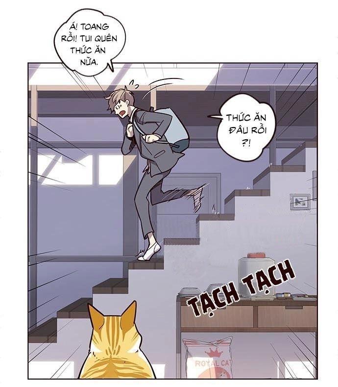 Hoá Thân Thành Mèo Chapter 9 - 13