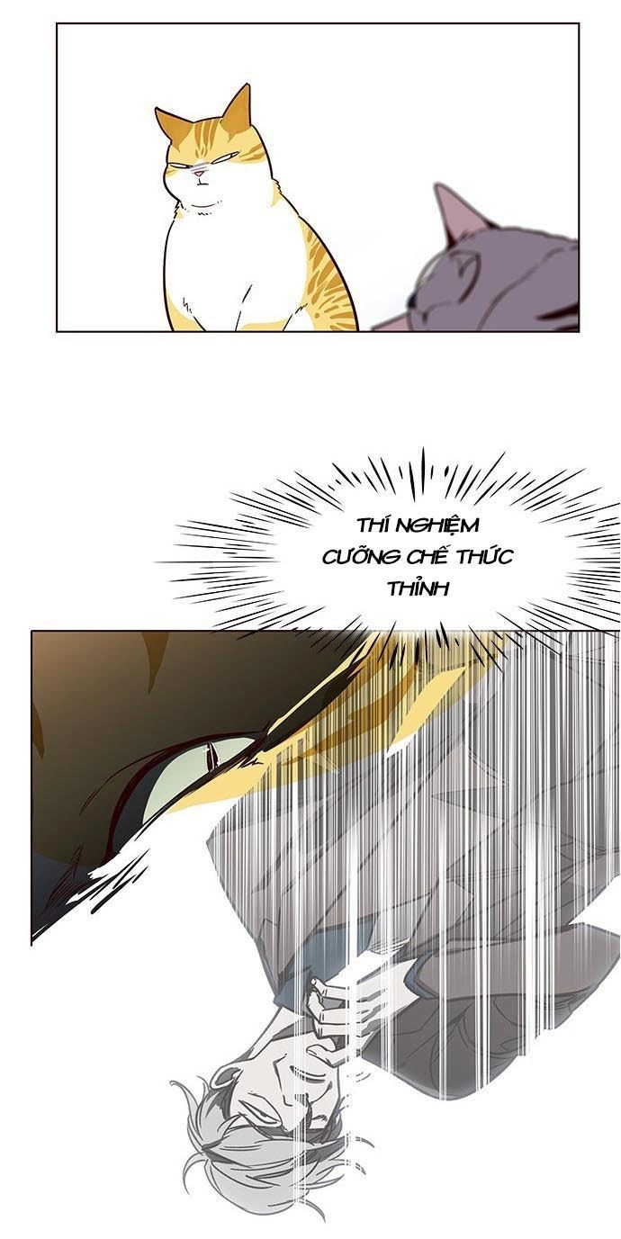 Hoá Thân Thành Mèo Chapter 9 - 37