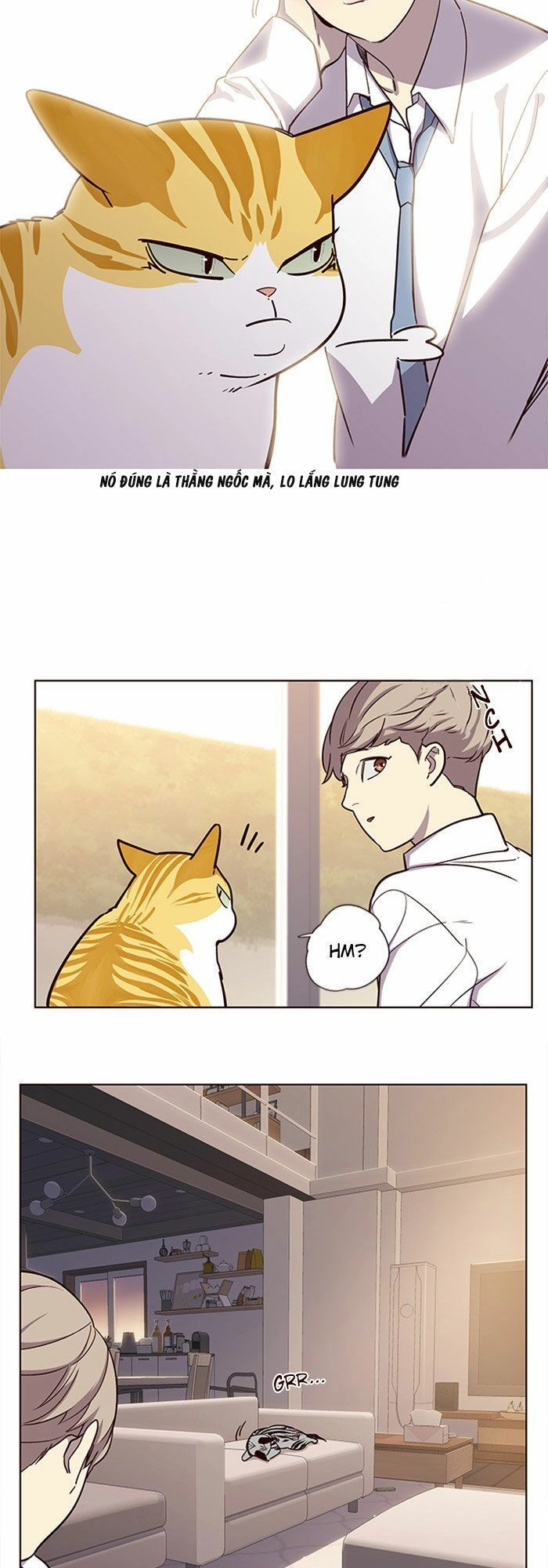 Hoá Thân Thành Mèo Chapter 10 - 13