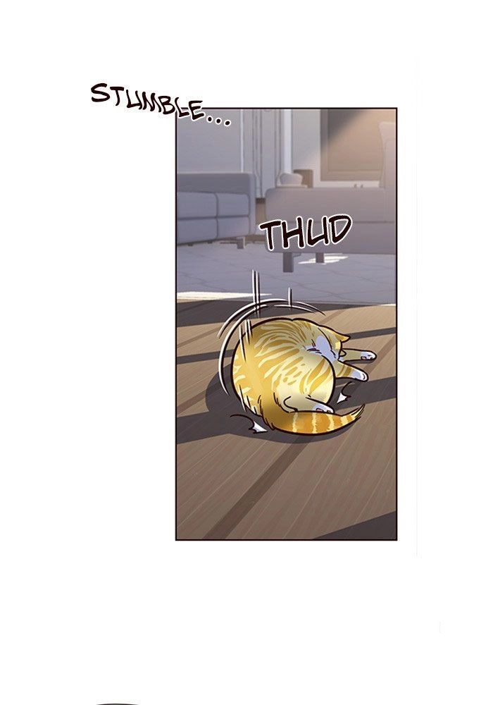 Hoá Thân Thành Mèo Chapter 11 - 45