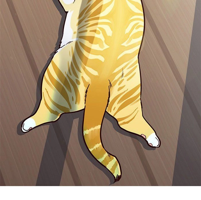 Hoá Thân Thành Mèo Chapter 11 - 50