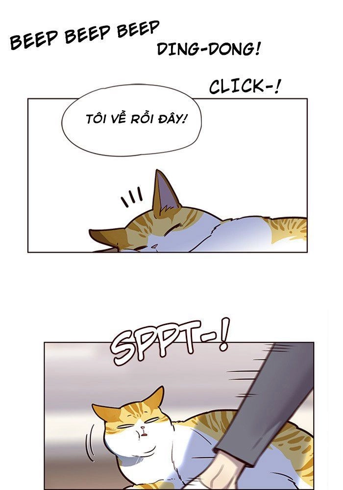 Hoá Thân Thành Mèo Chapter 11 - 77