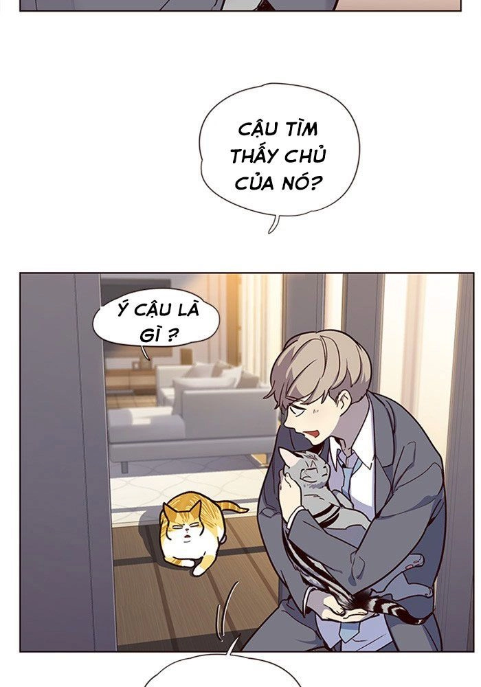 Hoá Thân Thành Mèo Chapter 11 - 80