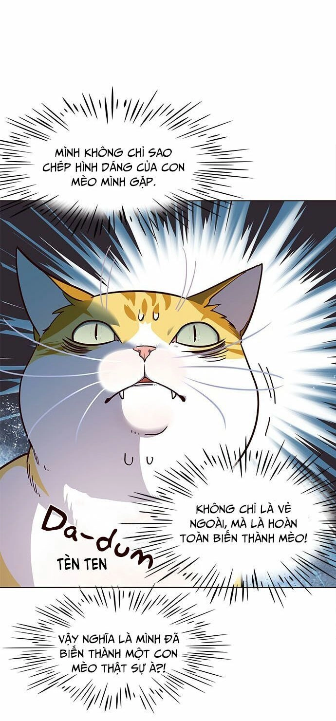 Hoá Thân Thành Mèo Chapter 16 - 12