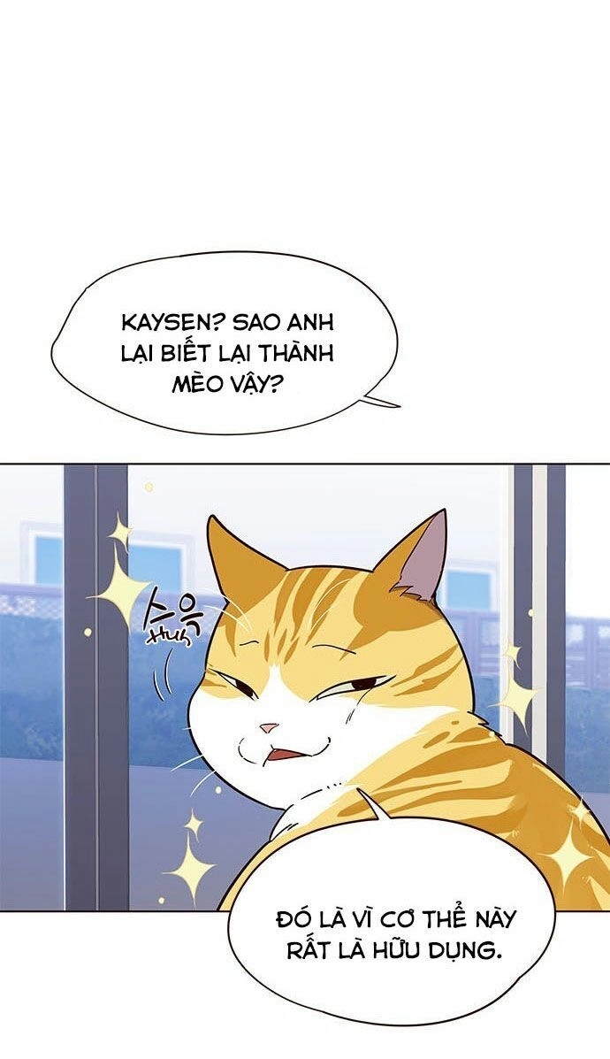 Hoá Thân Thành Mèo Chapter 16 - 18