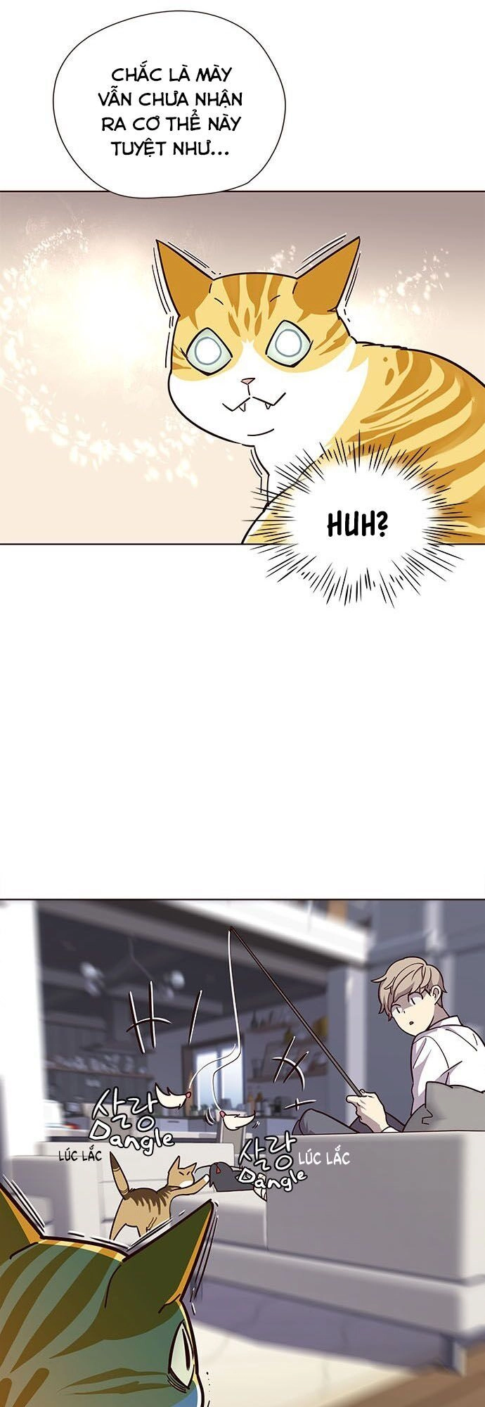 Hoá Thân Thành Mèo Chapter 16 - 19