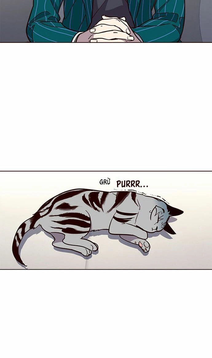 Hoá Thân Thành Mèo Chapter 16 - 43