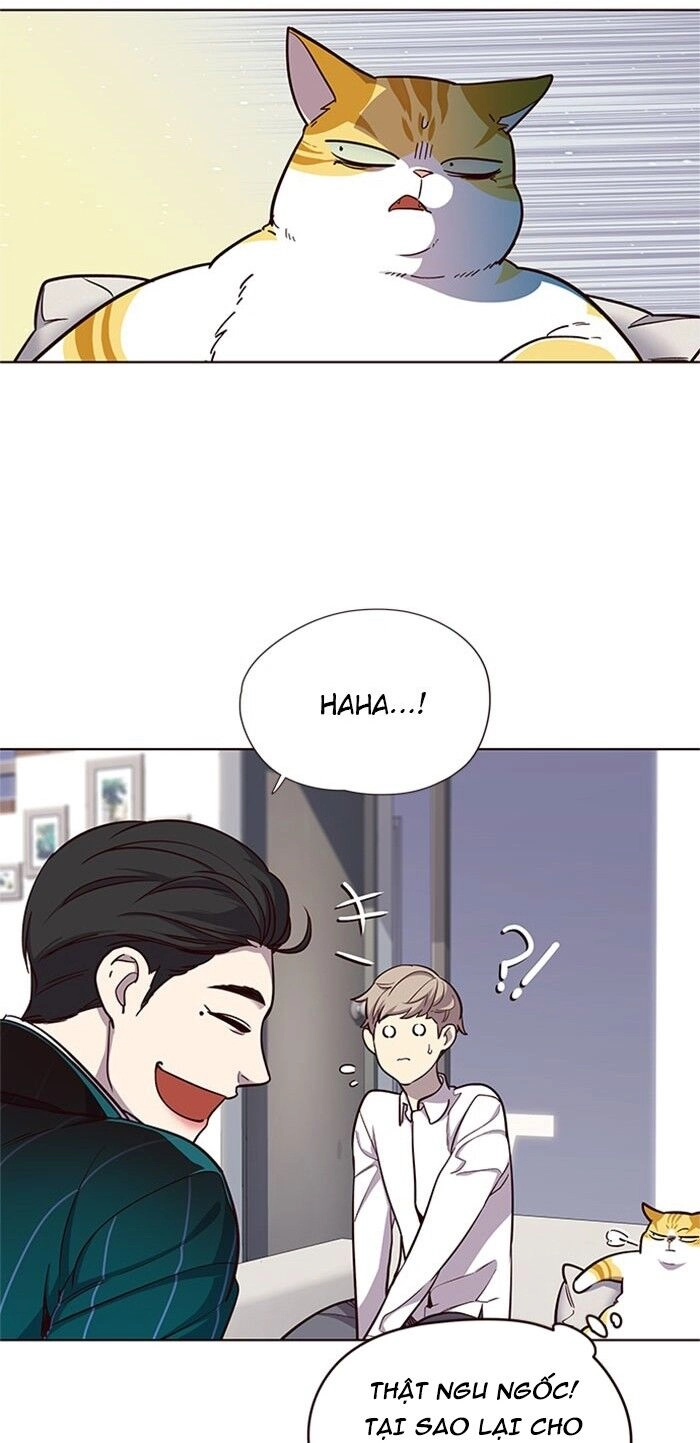 Hoá Thân Thành Mèo Chapter 17 - 8