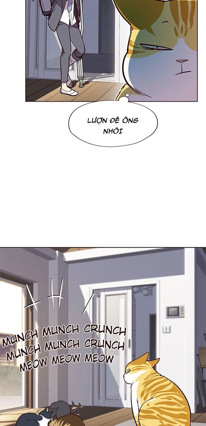 Hoá Thân Thành Mèo Chapter 17 - 40