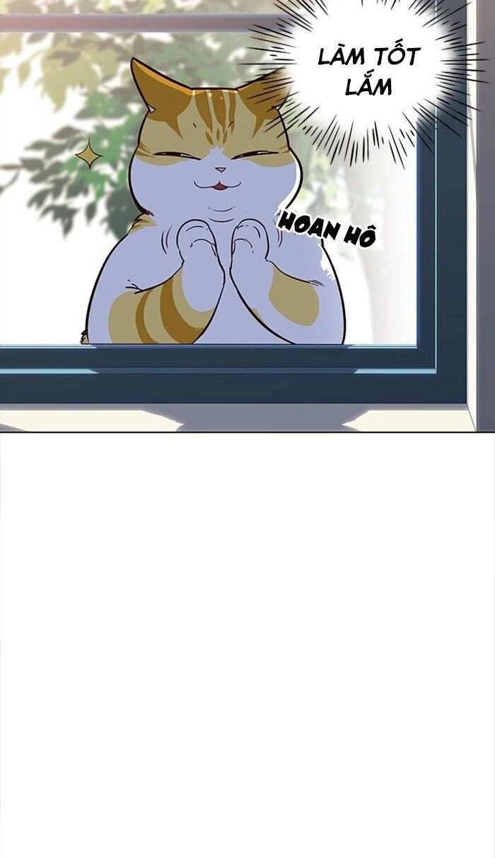 Hoá Thân Thành Mèo Chapter 18 - 47