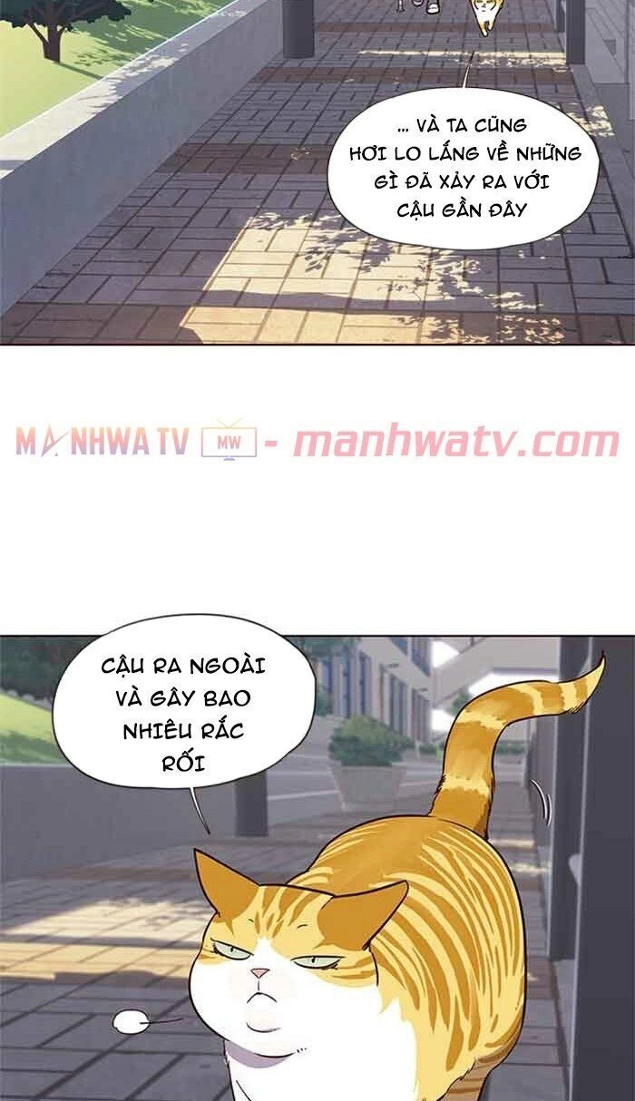 Hoá Thân Thành Mèo Chapter 18 - 54