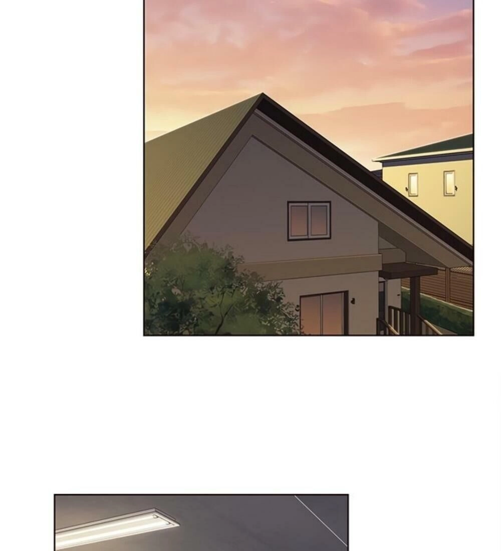 Hoá Thân Thành Mèo Chapter 19 - 24