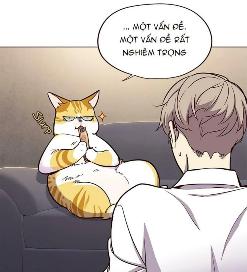 Hoá Thân Thành Mèo Chapter 19 - 27