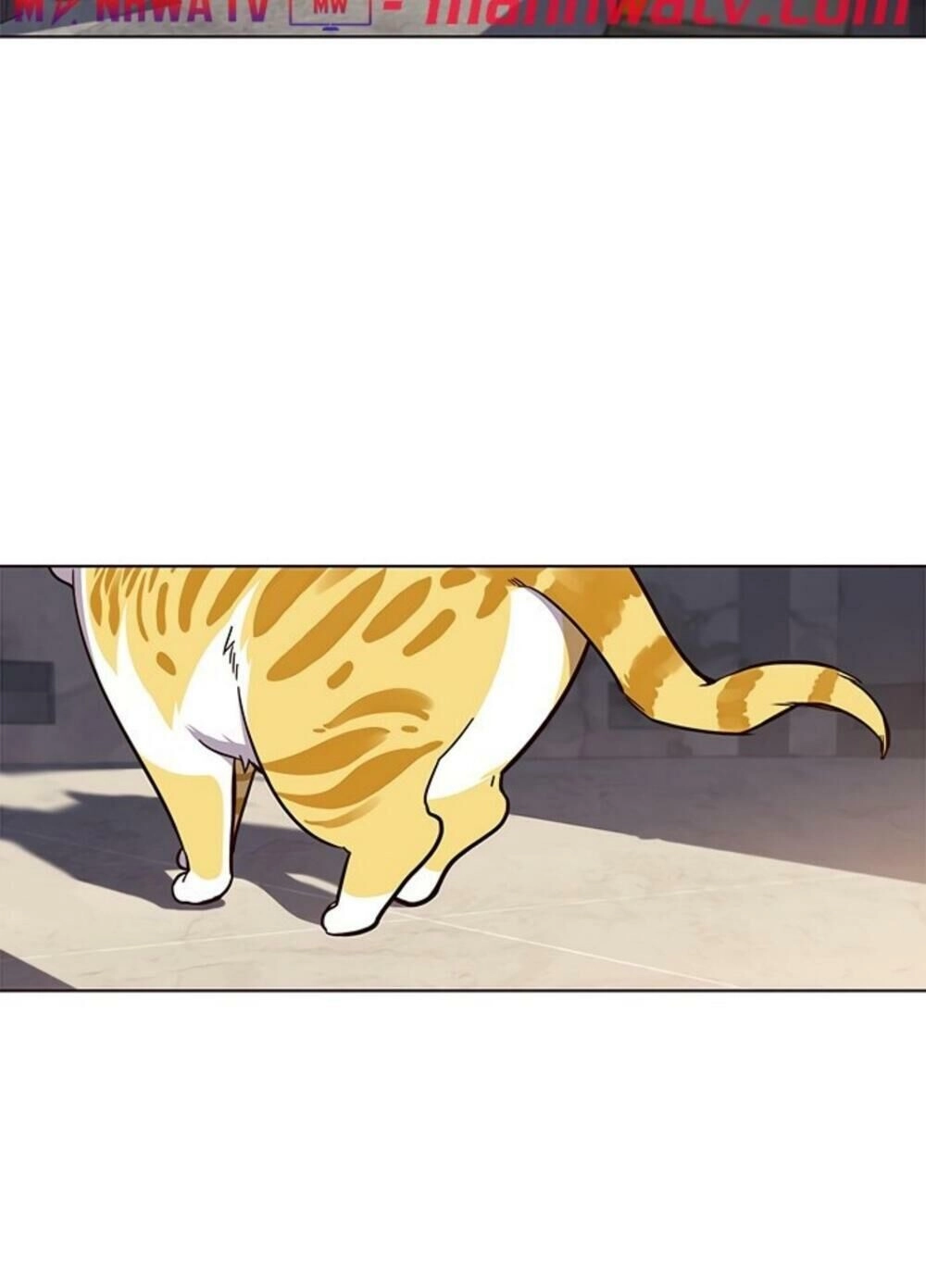 Hoá Thân Thành Mèo Chapter 19 - 80