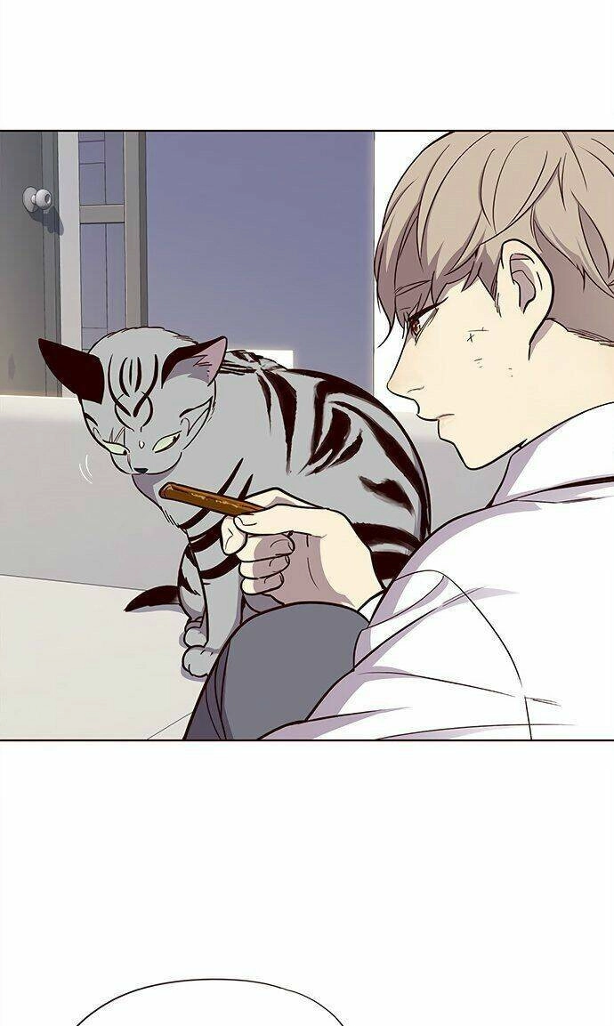 Hoá Thân Thành Mèo Chapter 21 - 24