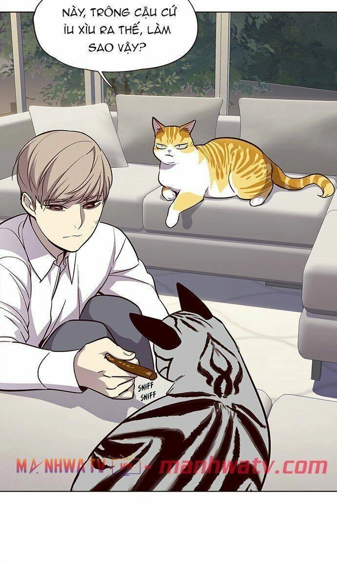 Hoá Thân Thành Mèo Chapter 21 - 25