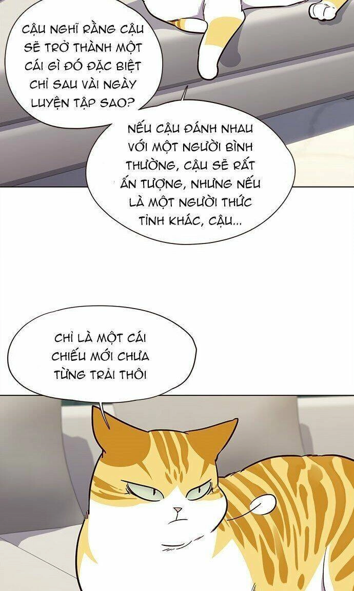 Hoá Thân Thành Mèo Chapter 21 - 32