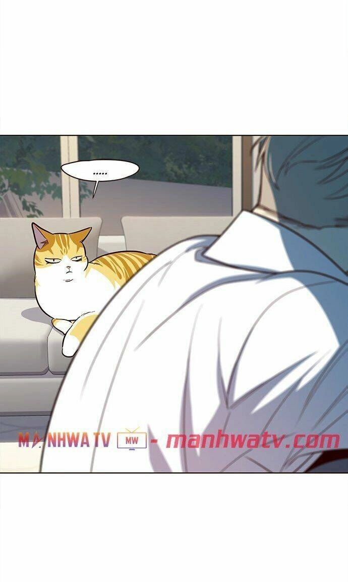 Hoá Thân Thành Mèo Chapter 21 - 38