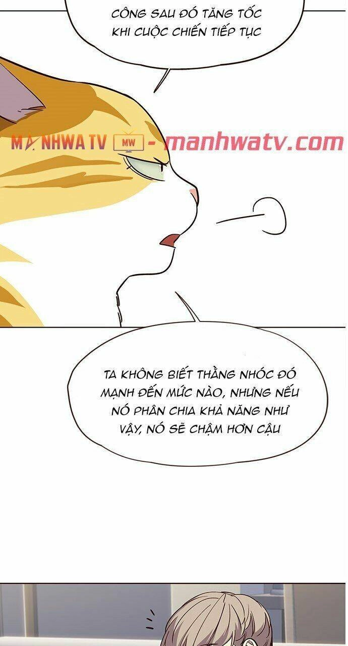 Hoá Thân Thành Mèo Chapter 21 - 48