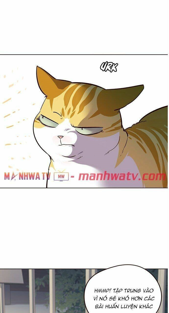 Hoá Thân Thành Mèo Chapter 21 - 55