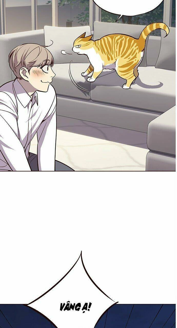 Hoá Thân Thành Mèo Chapter 21 - 56