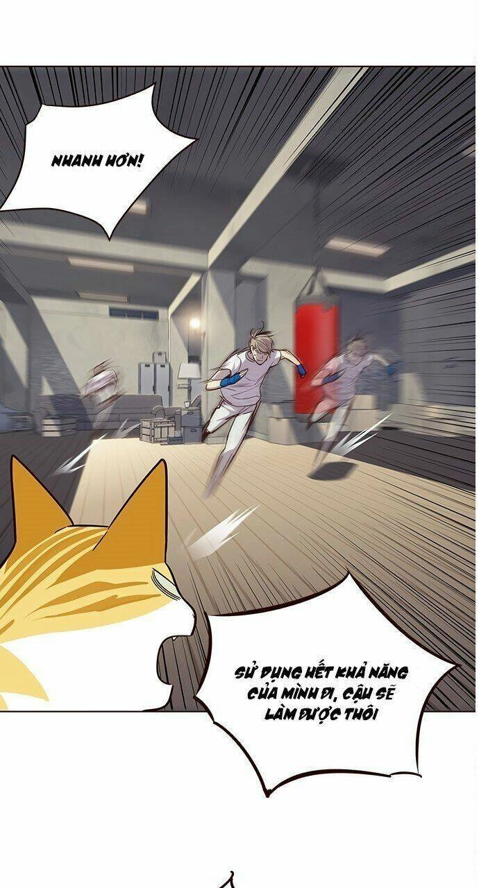 Hoá Thân Thành Mèo Chapter 21 - 60