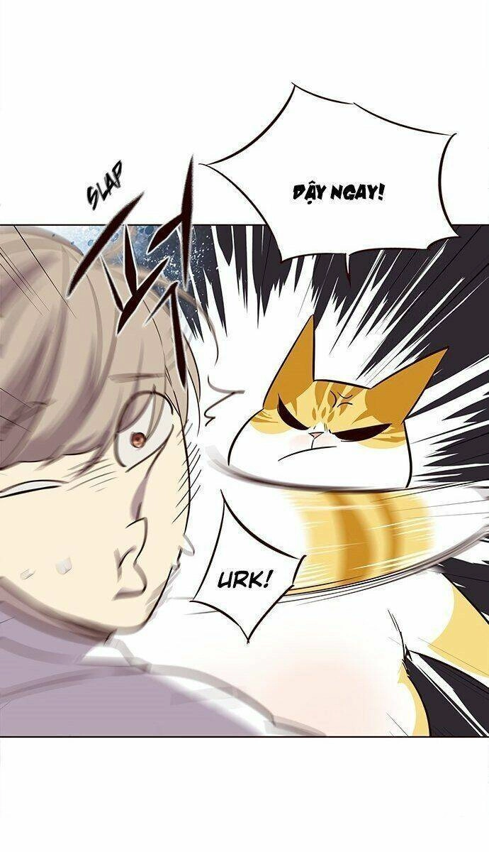 Hoá Thân Thành Mèo Chapter 21 - 73