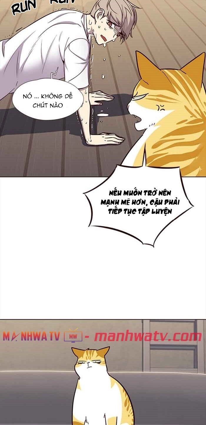Hoá Thân Thành Mèo Chapter 23 - 20