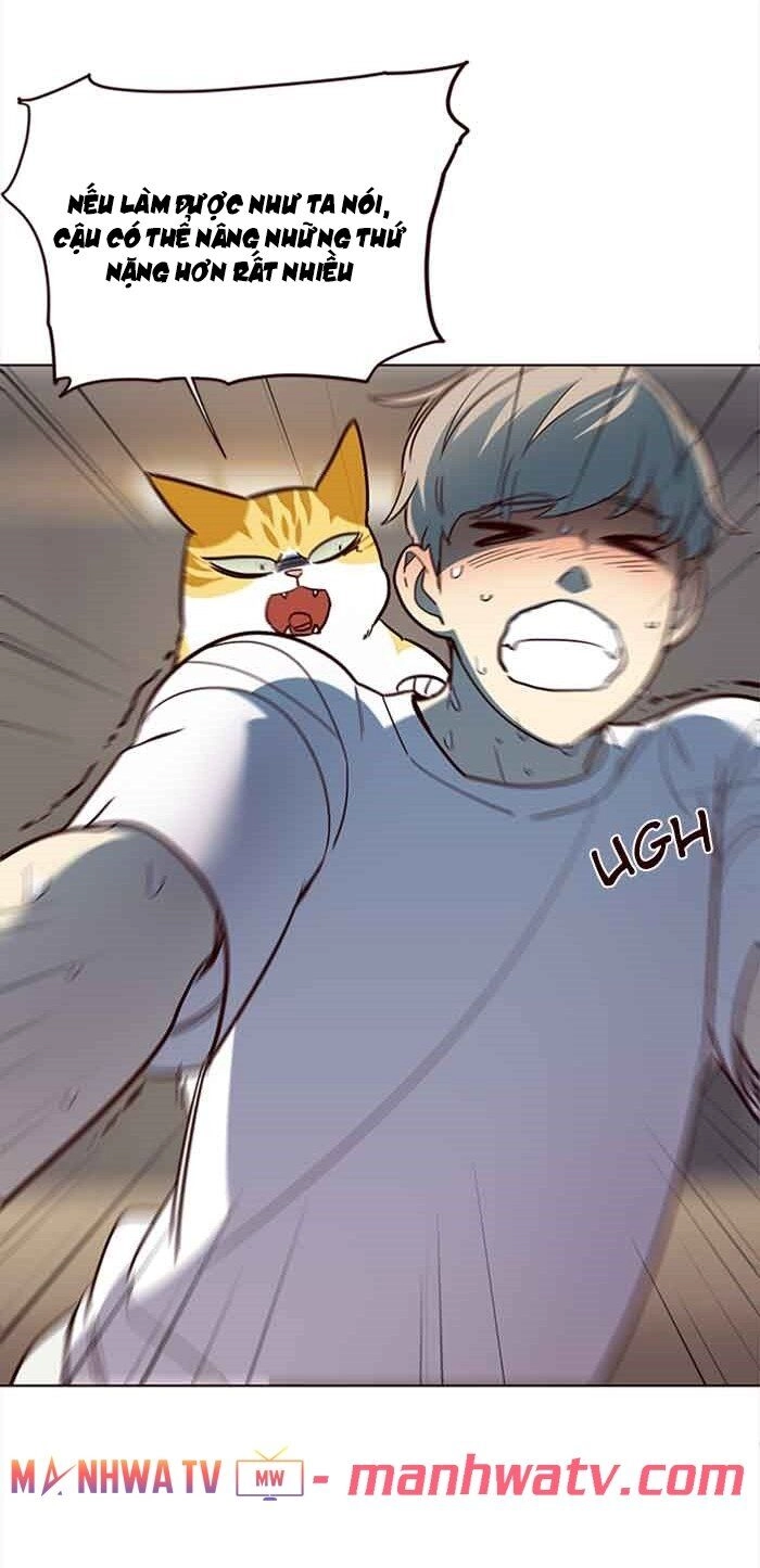 Hoá Thân Thành Mèo Chapter 23 - 23