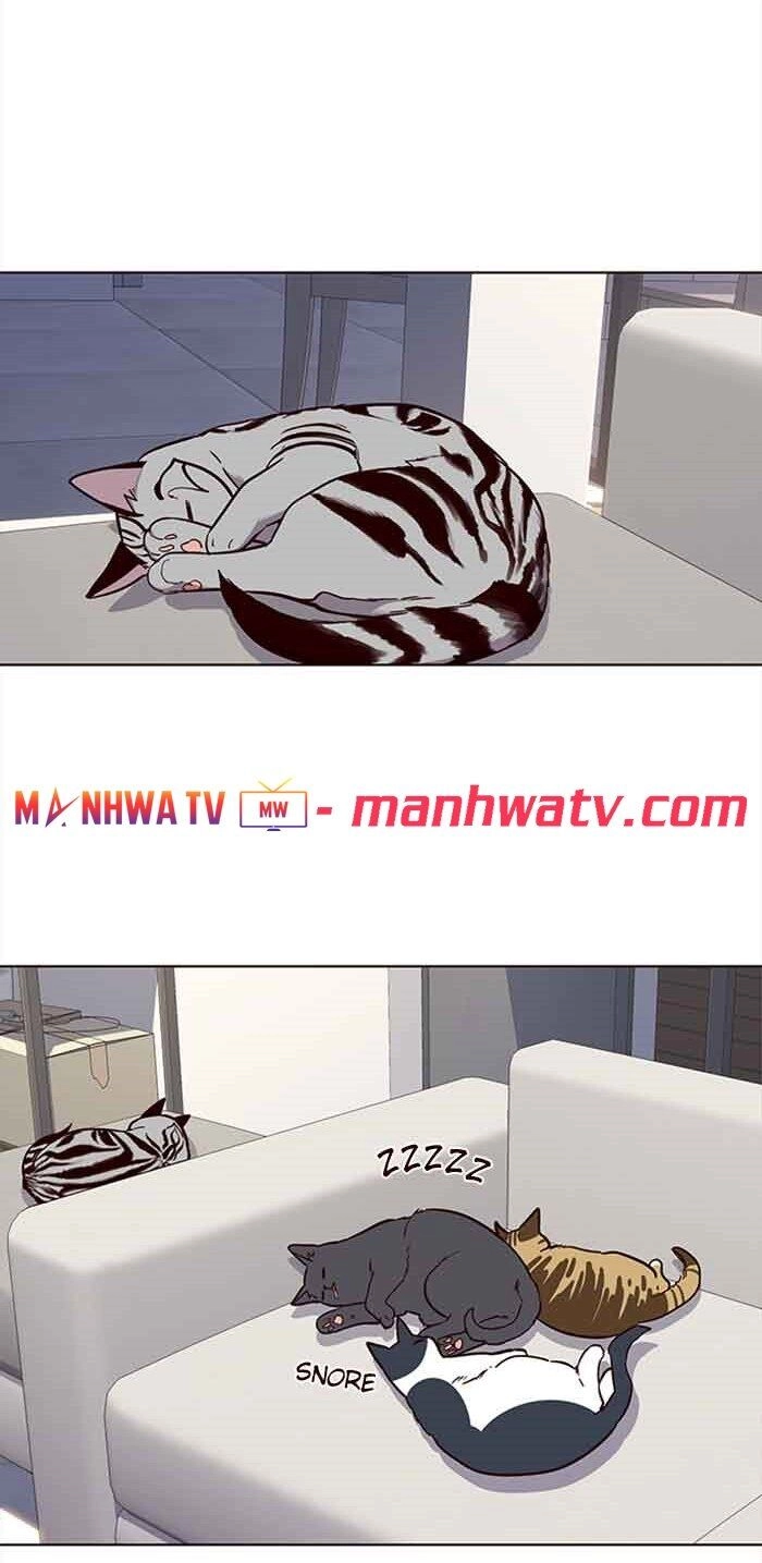 Hoá Thân Thành Mèo Chapter 23 - 30