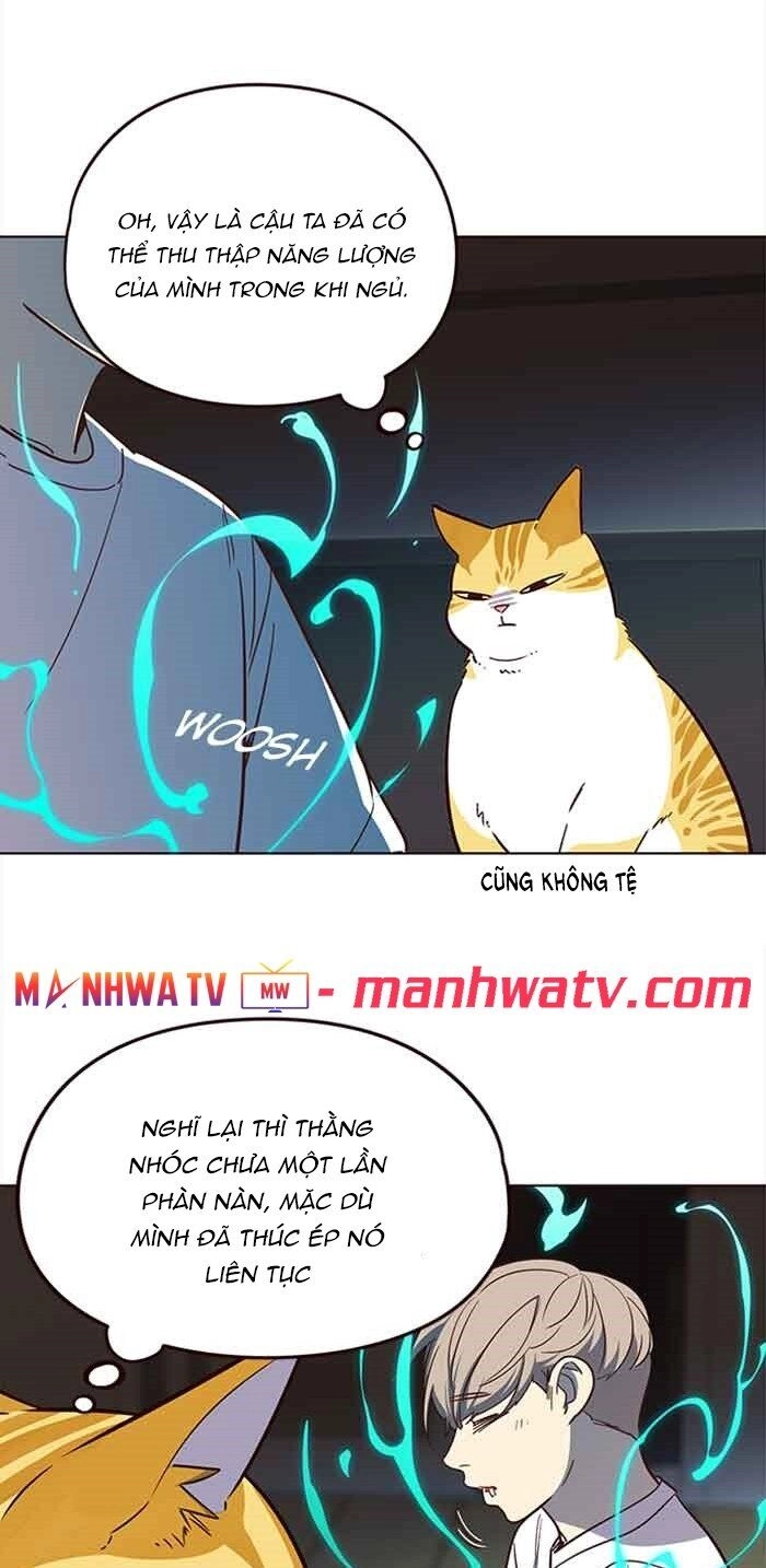 Hoá Thân Thành Mèo Chapter 23 - 34