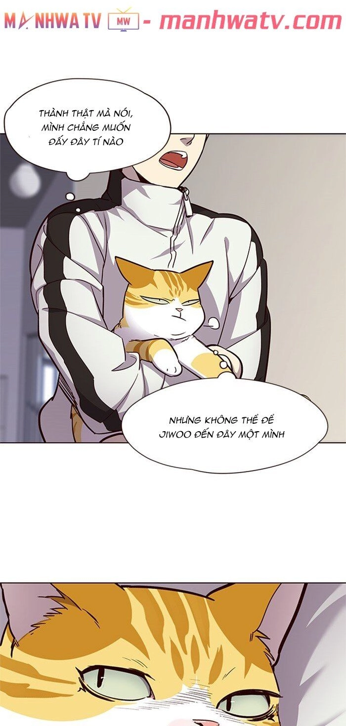 Hoá Thân Thành Mèo Chapter 24 - 7