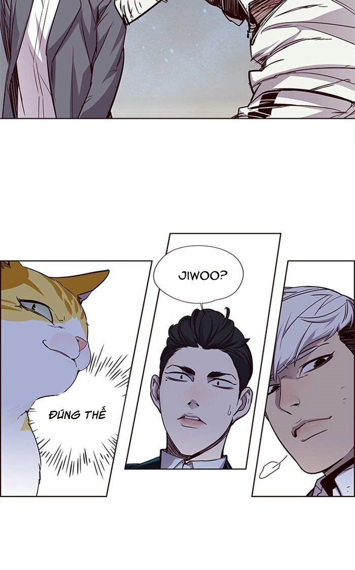 Hoá Thân Thành Mèo Chapter 26 - 26