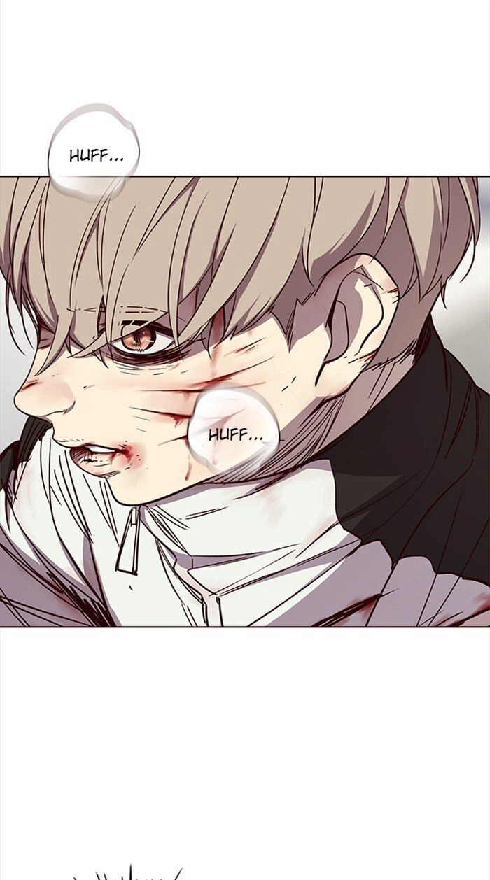 Hoá Thân Thành Mèo Chapter 27 - 26