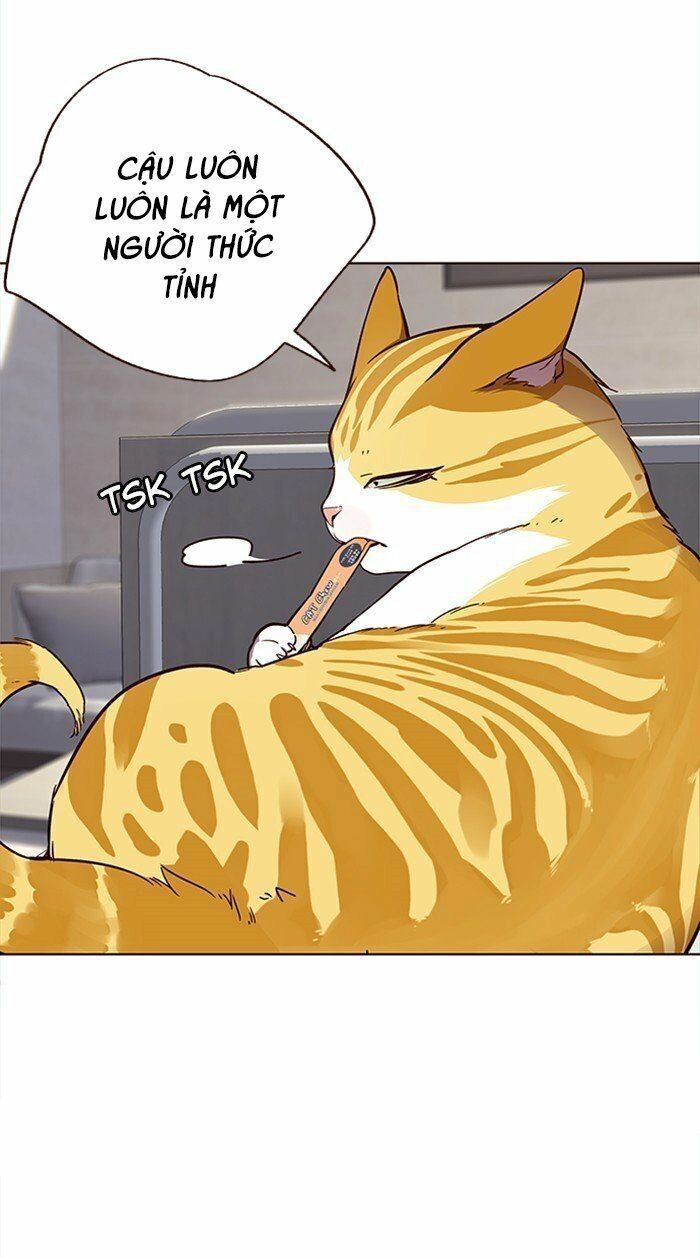 Hoá Thân Thành Mèo Chapter 28 - 18