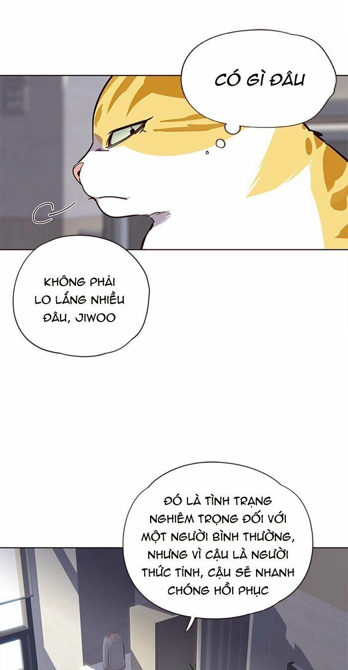 Hoá Thân Thành Mèo Chapter 28 - 32