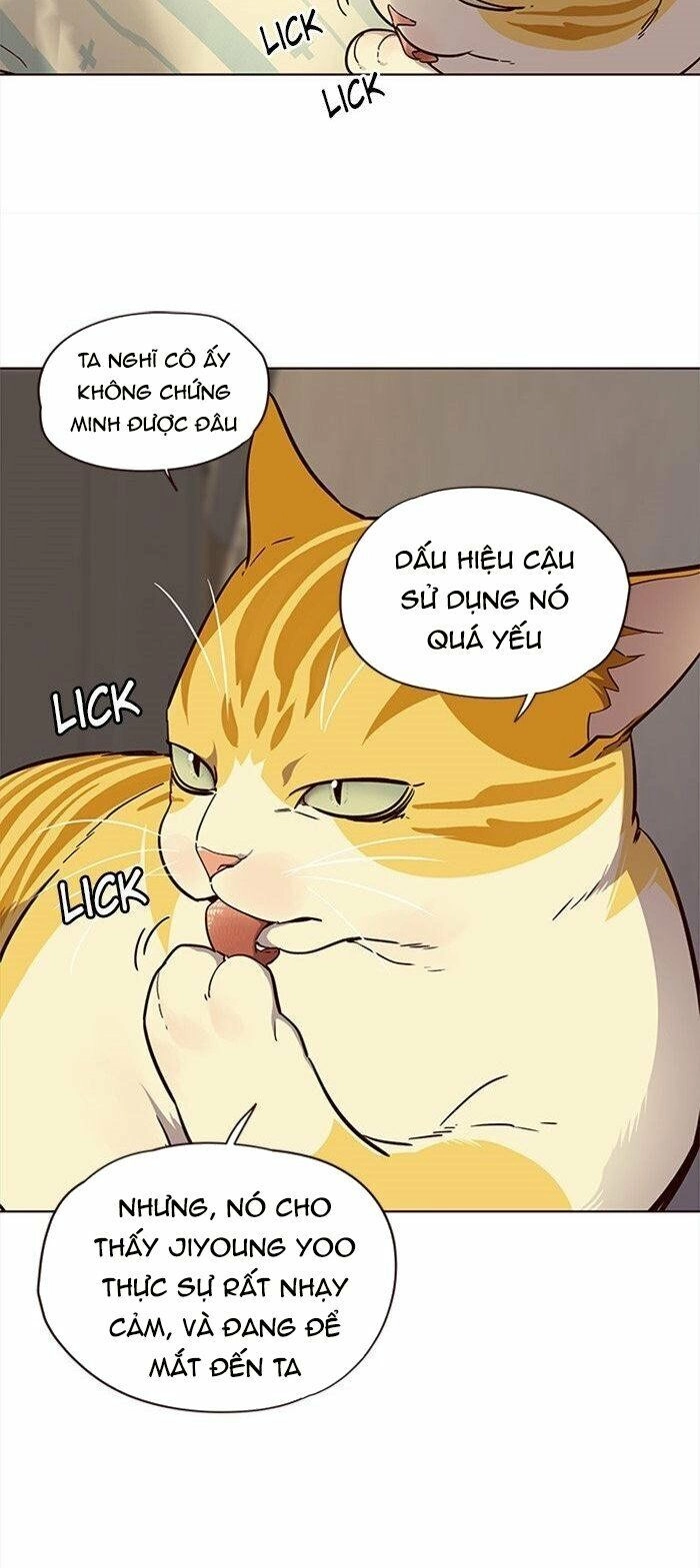 Hoá Thân Thành Mèo Chapter 29 - 19