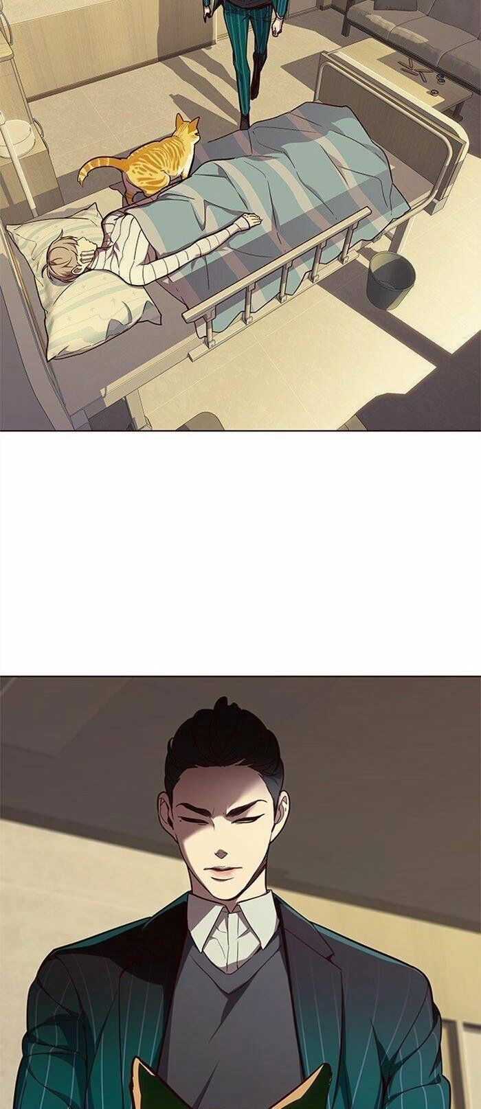 Hoá Thân Thành Mèo Chapter 29 - 26