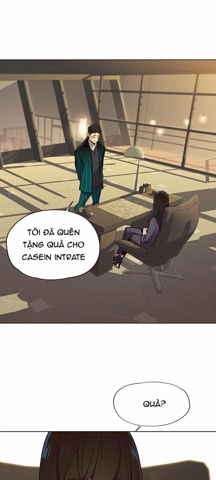 Hoá Thân Thành Mèo Chapter 29 - 36