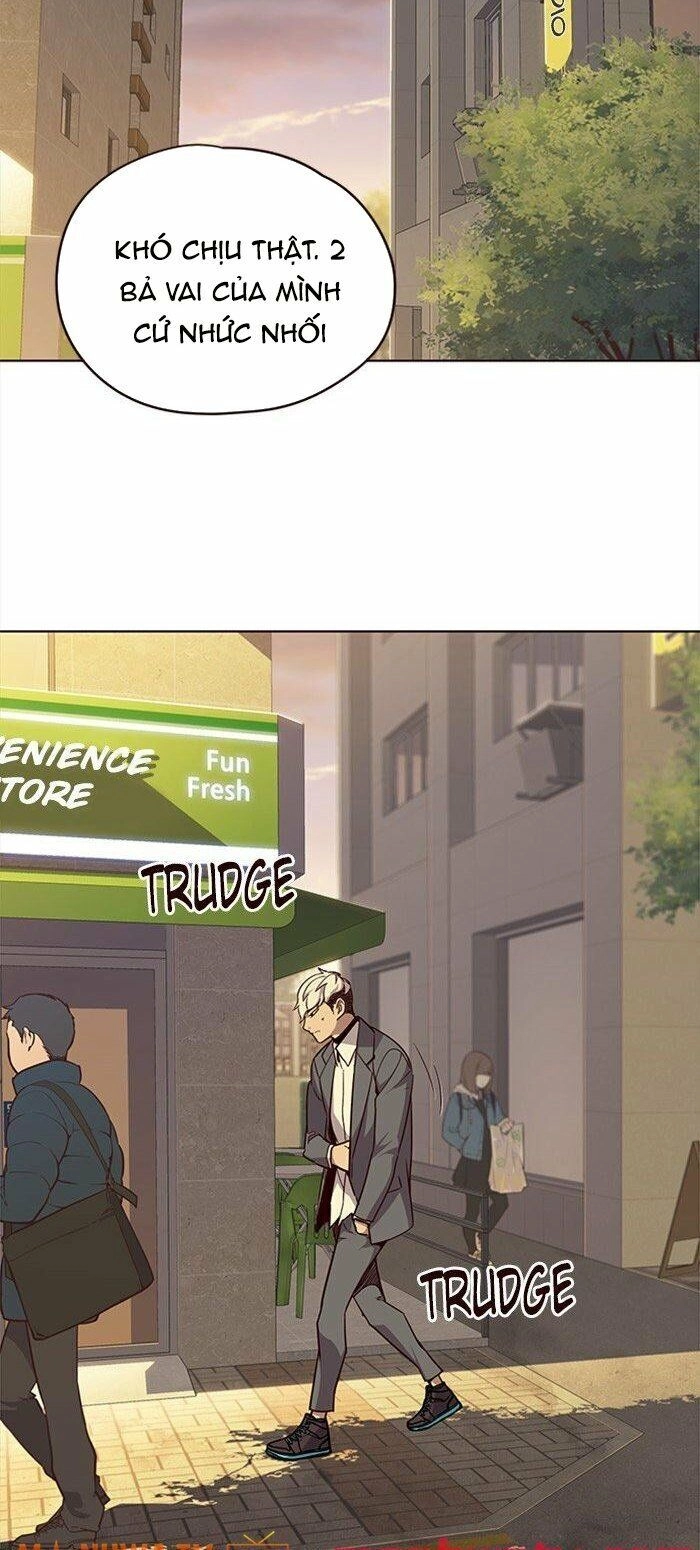 Hoá Thân Thành Mèo Chapter 29 - 38