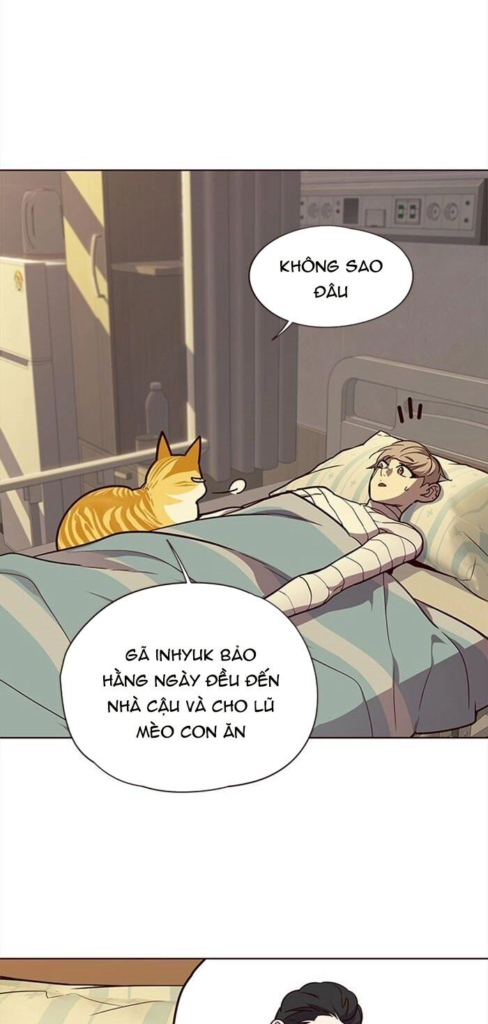 Hoá Thân Thành Mèo Chapter 30 - 9