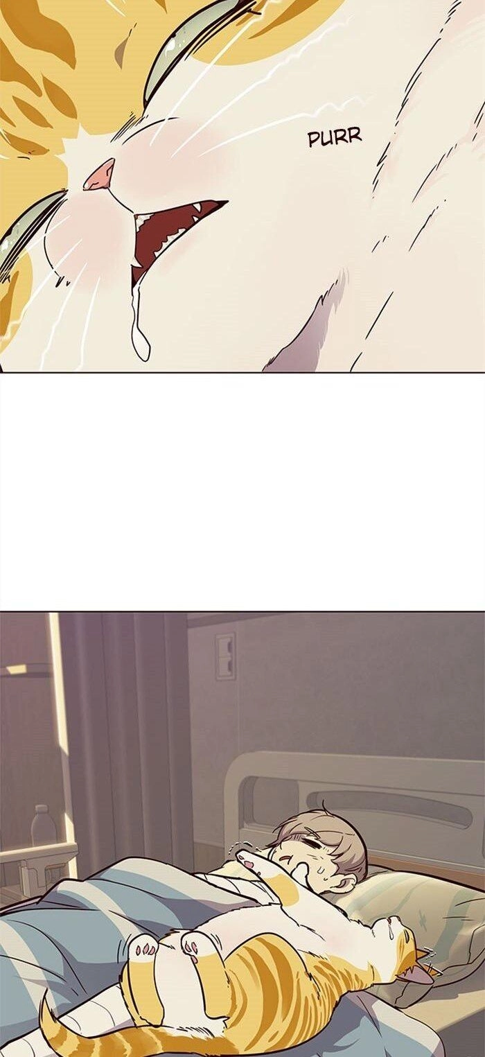 Hoá Thân Thành Mèo Chapter 30 - 66