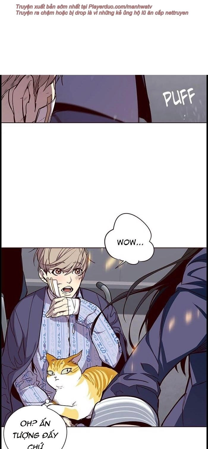 Hoá Thân Thành Mèo Chapter 33 - 20