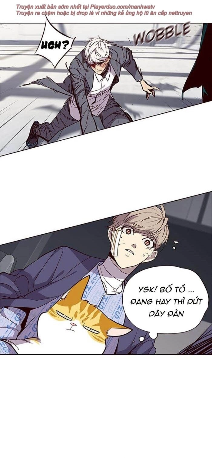 Hoá Thân Thành Mèo Chapter 33 - 32