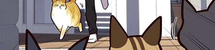 Hoá Thân Thành Mèo Chapter 34 - 85